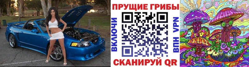 где найти   даркнет формула  Псилоцибиновые грибы мухоморы  Тейково 