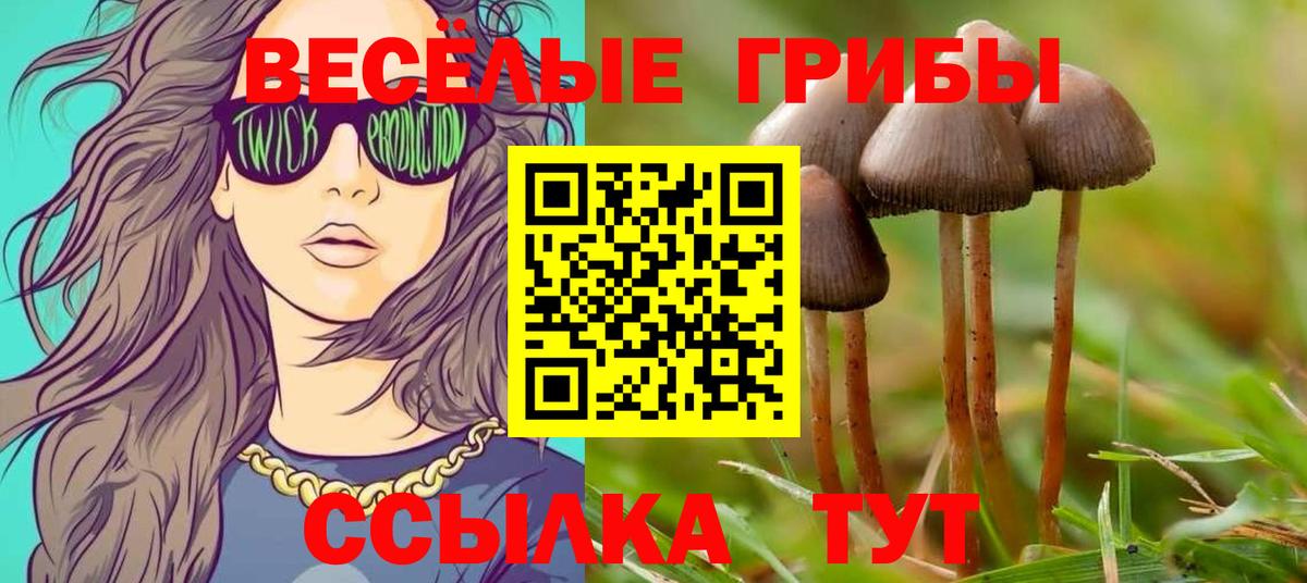 Тейково  Псилоцибиновые грибы Magic Shrooms  Вход с VPN 